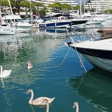 Studio-port-marina, Parking Privé, Climatisé Au Ducal Villeneuve-Loubet